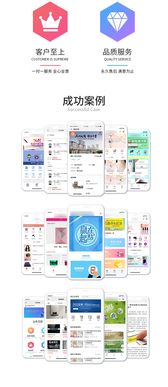 電商軟件定制開(kāi)發(fā) 軟件開(kāi)發(fā) app開(kāi)發(fā) app外包開(kāi)發(fā)公司